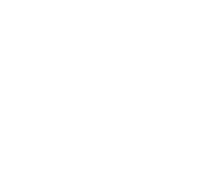 Cyber Nerds Technologies Logo